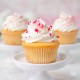 Papír sütisdoboz Cupcake (minitorta) 3 féle 12/szett Papír sütisdoboz Cupcake (minitorta) 3 féle 12/szett